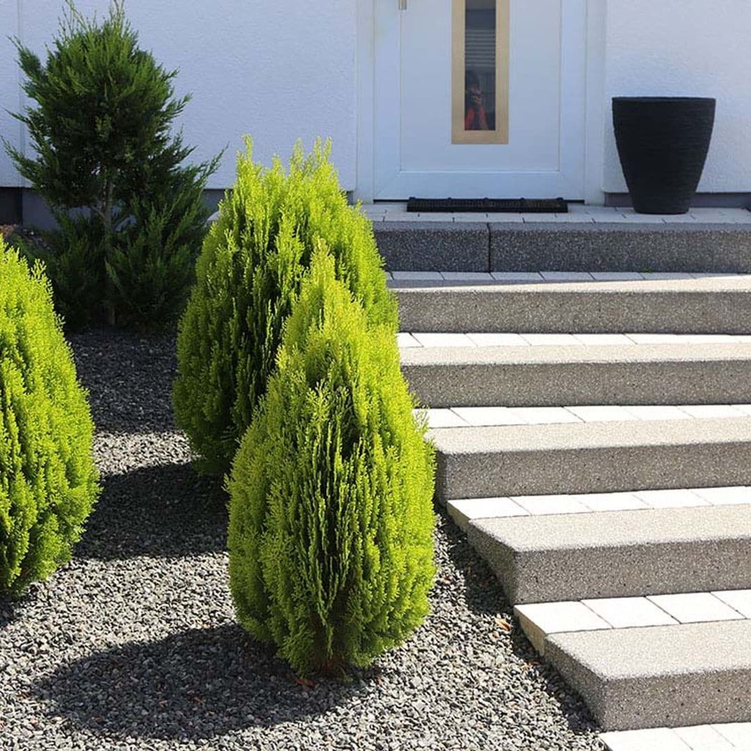 Estas son las claves para construir una escalera en el jardín