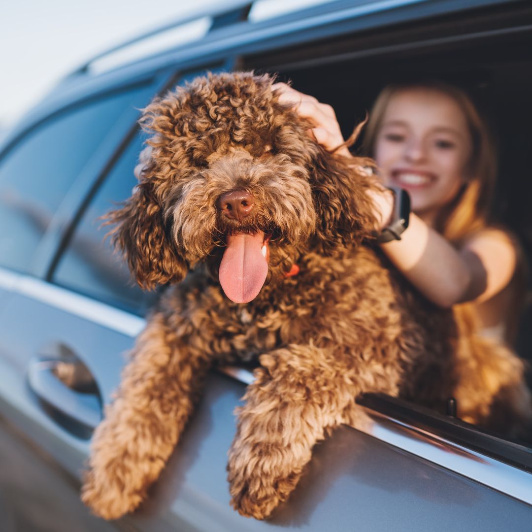Ya no dejamos al perro en casa: así son las vacaciones de la nueva generación de viajeros 'pet friendly'