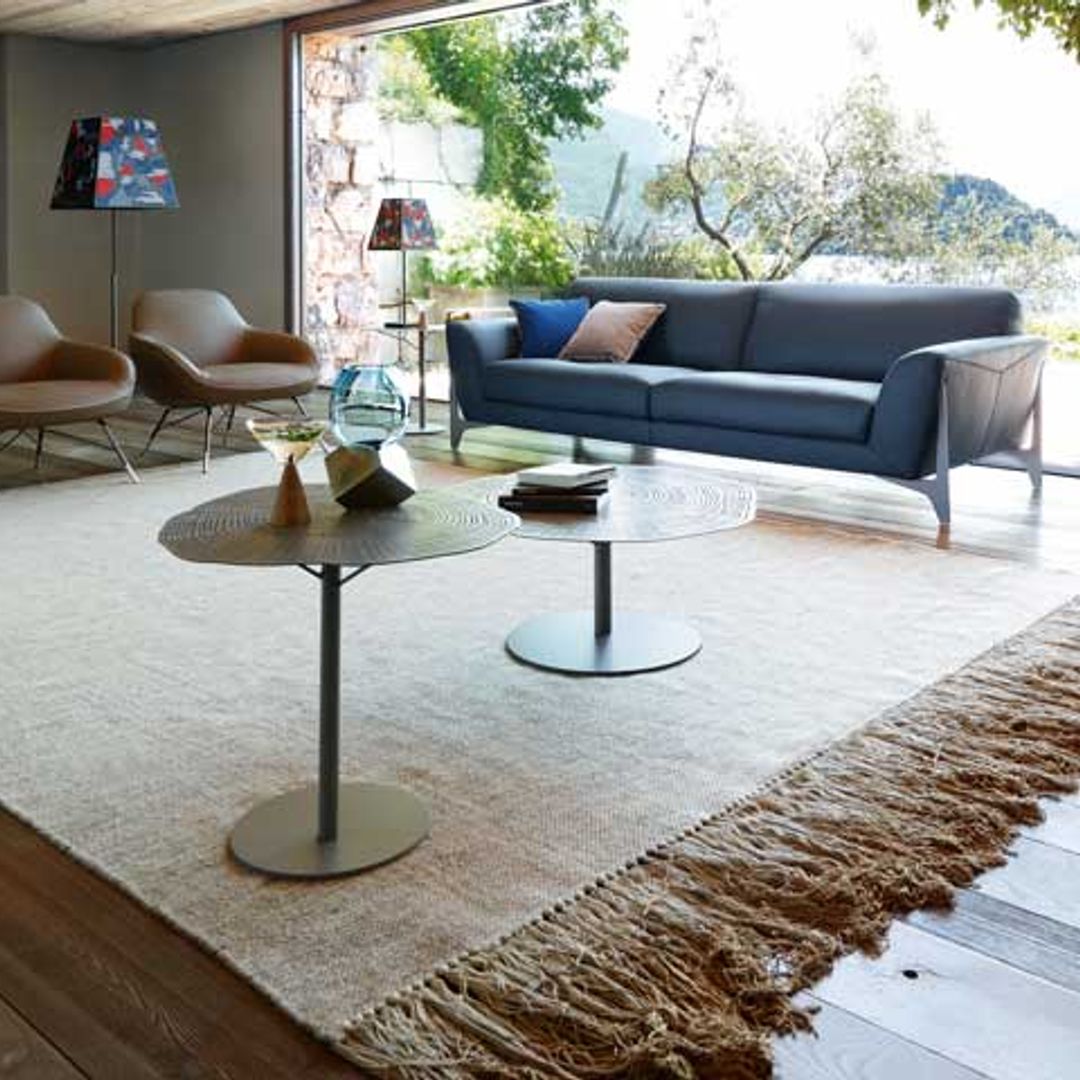 Alfombras mágicas: la casa a sus pies