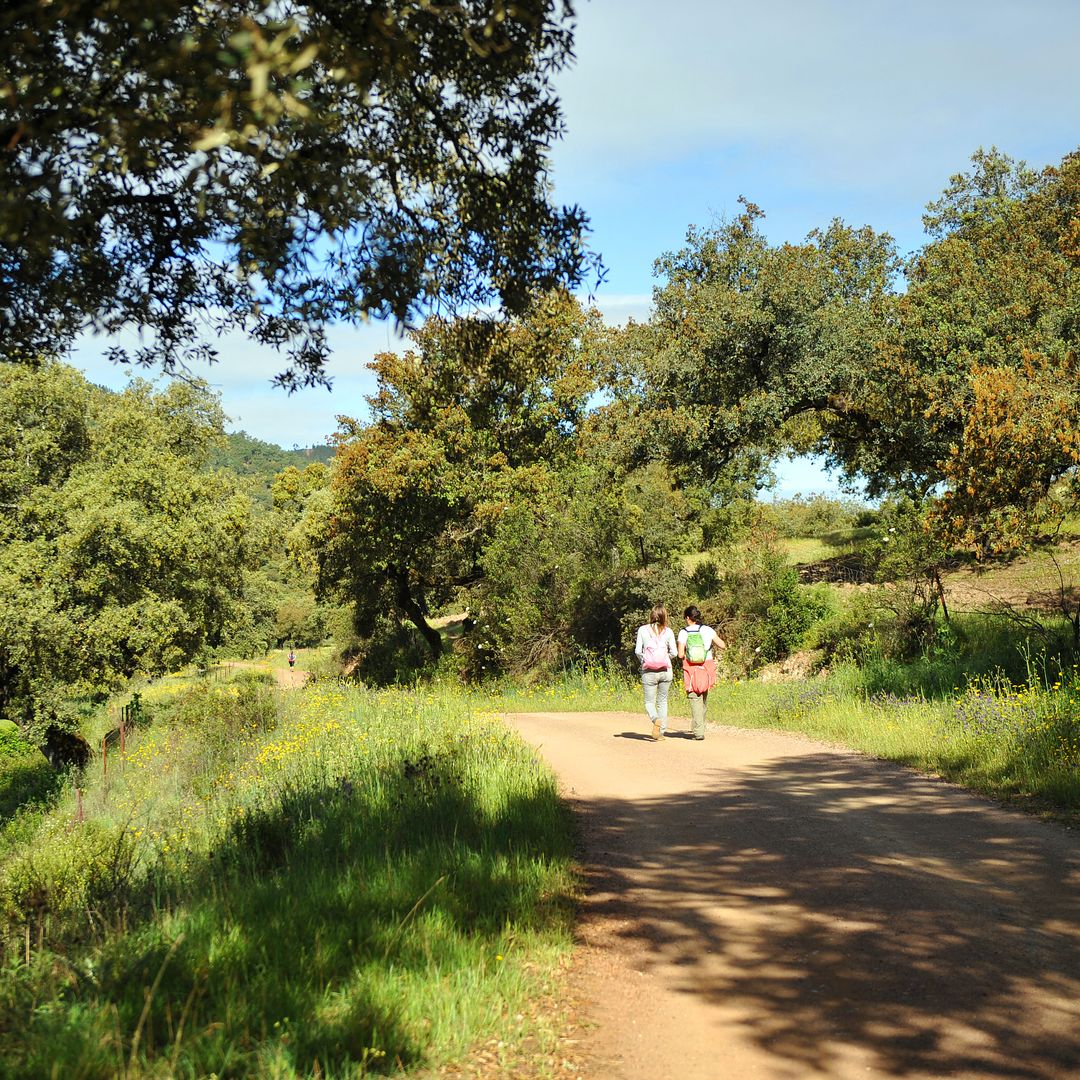 Senderistas por el entorno de Cortegana, Huelva, Parque Natural de la Sierra de Aracena y Picos de Aroche