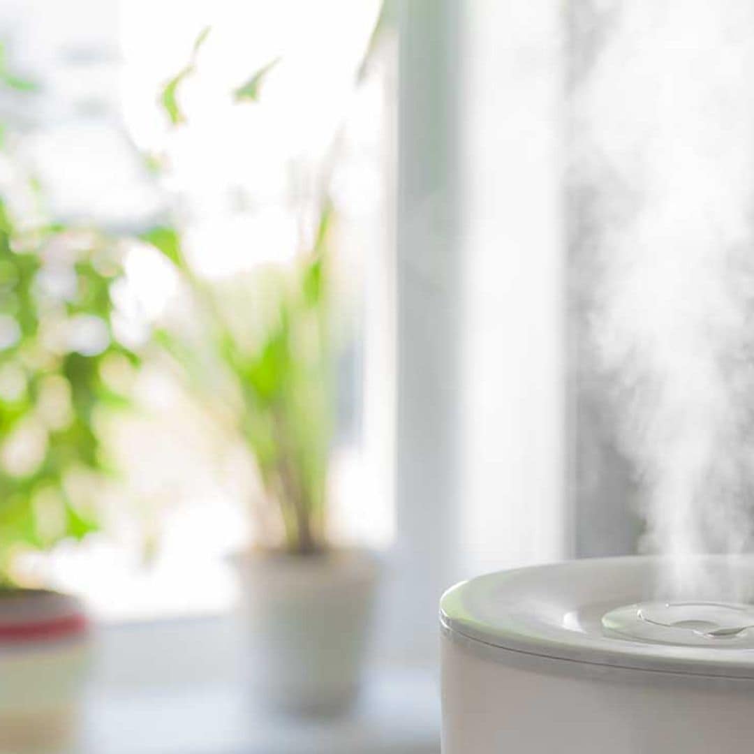 Ideas para hacer humidificadores en casa y combatir la sequedad