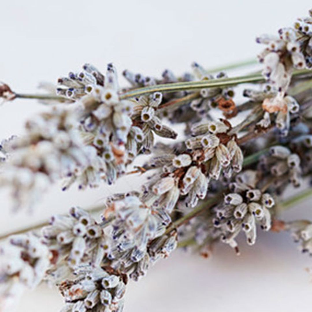 Lavanda, aceite de coco y otros remedios caseros para las quemaduras