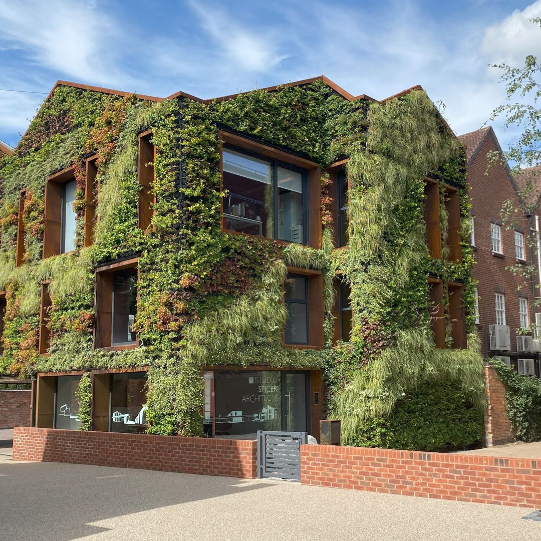 Fernando Hidalgo, arquitecto, revela cómo una fachada vegetal reduce el consumo energético: "La clave está en diseñar riegos inteligentes"