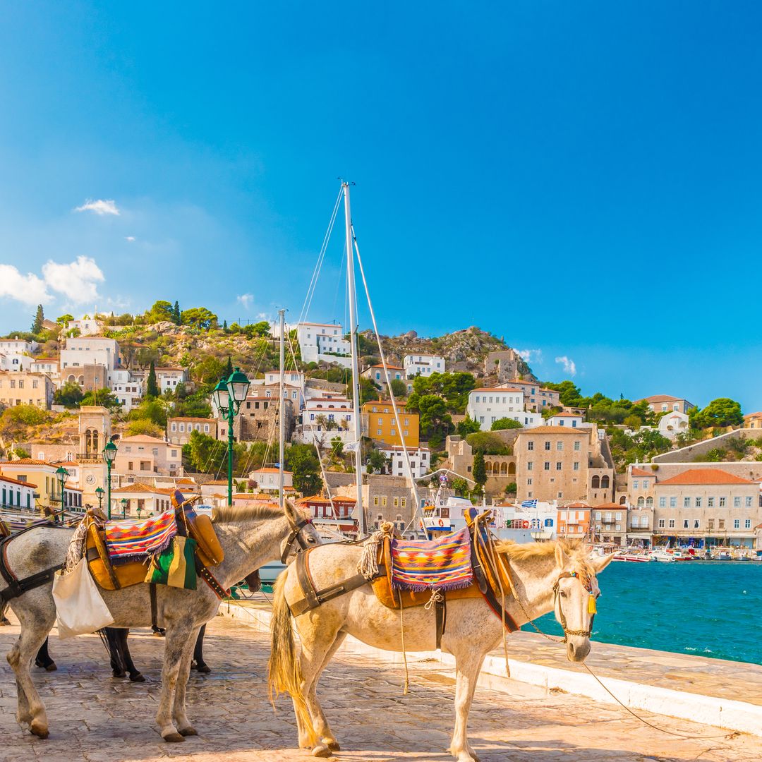 Burros en el puerto de Hydra, Grecia