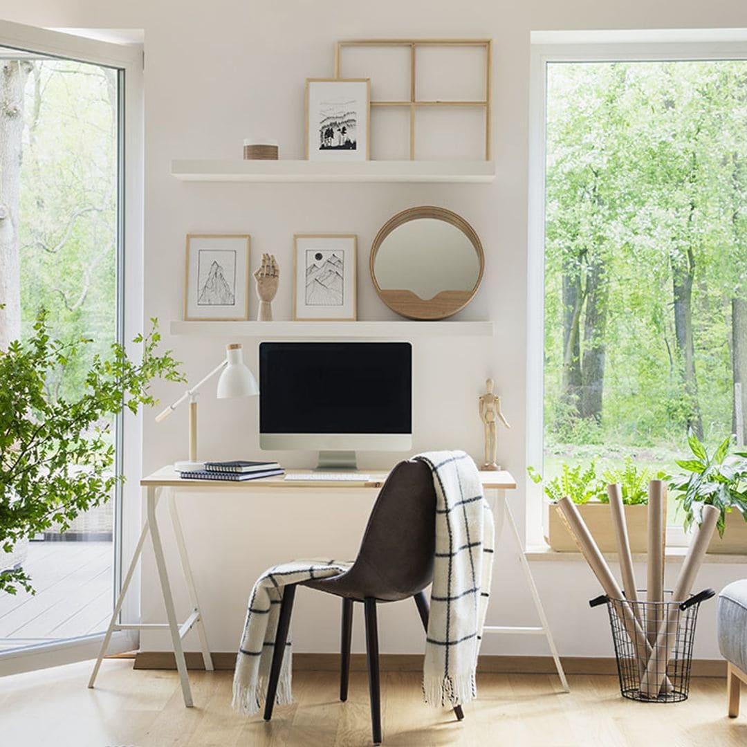 Estas son las mejores plantas de interior para decorar tu espacio de trabajo
