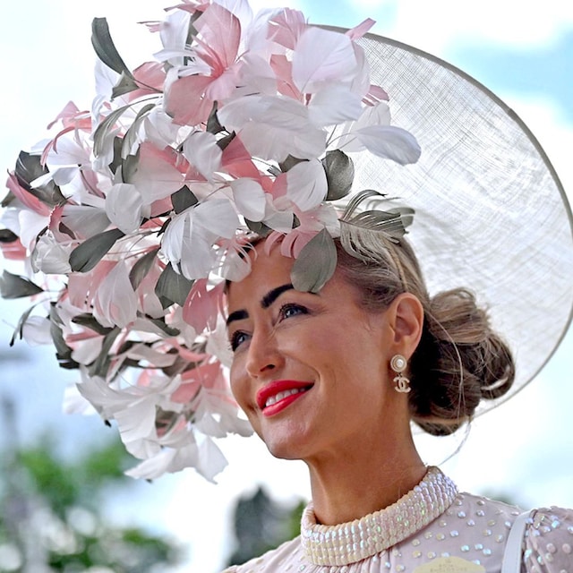 tocadosascot1