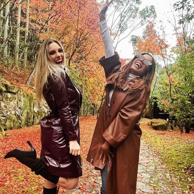 lele pons y anitta