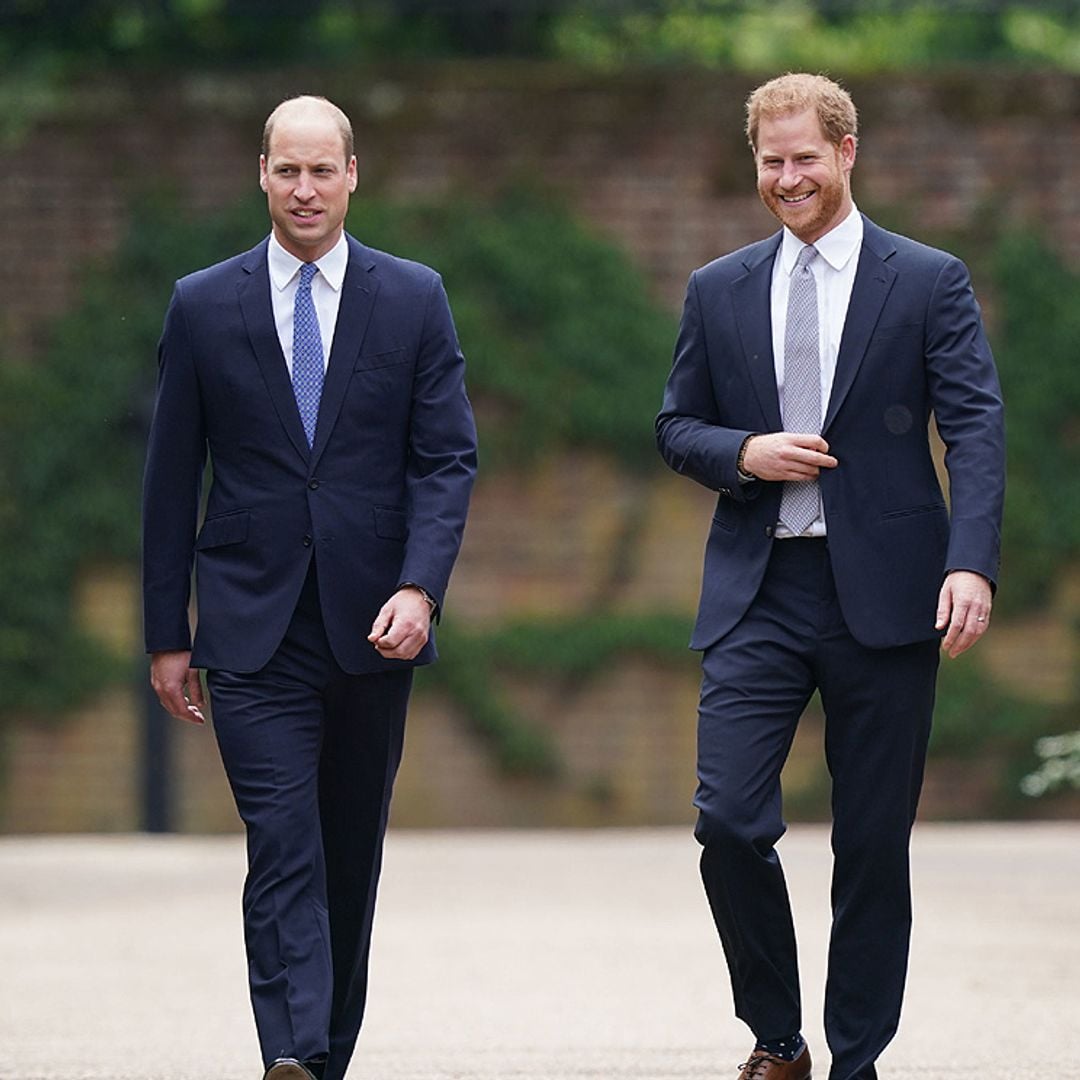 Los príncipes Harry y Guillermo de Inglaterra, unidos de nuevo por Diana de Gales en un día muy especial