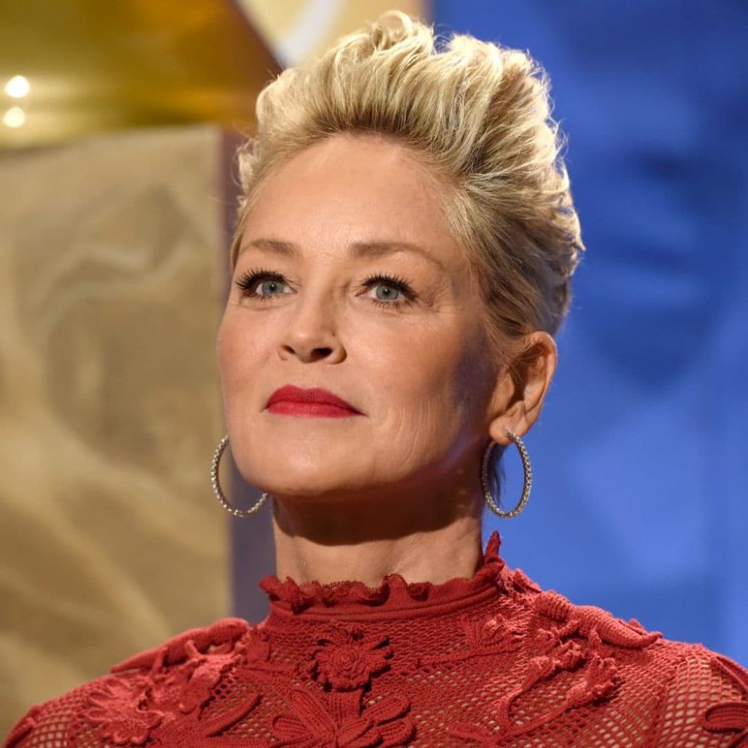 El sobrino de Sharon Stone, de 11 meses, hospitalizado por un 'fallo multiorgánico'