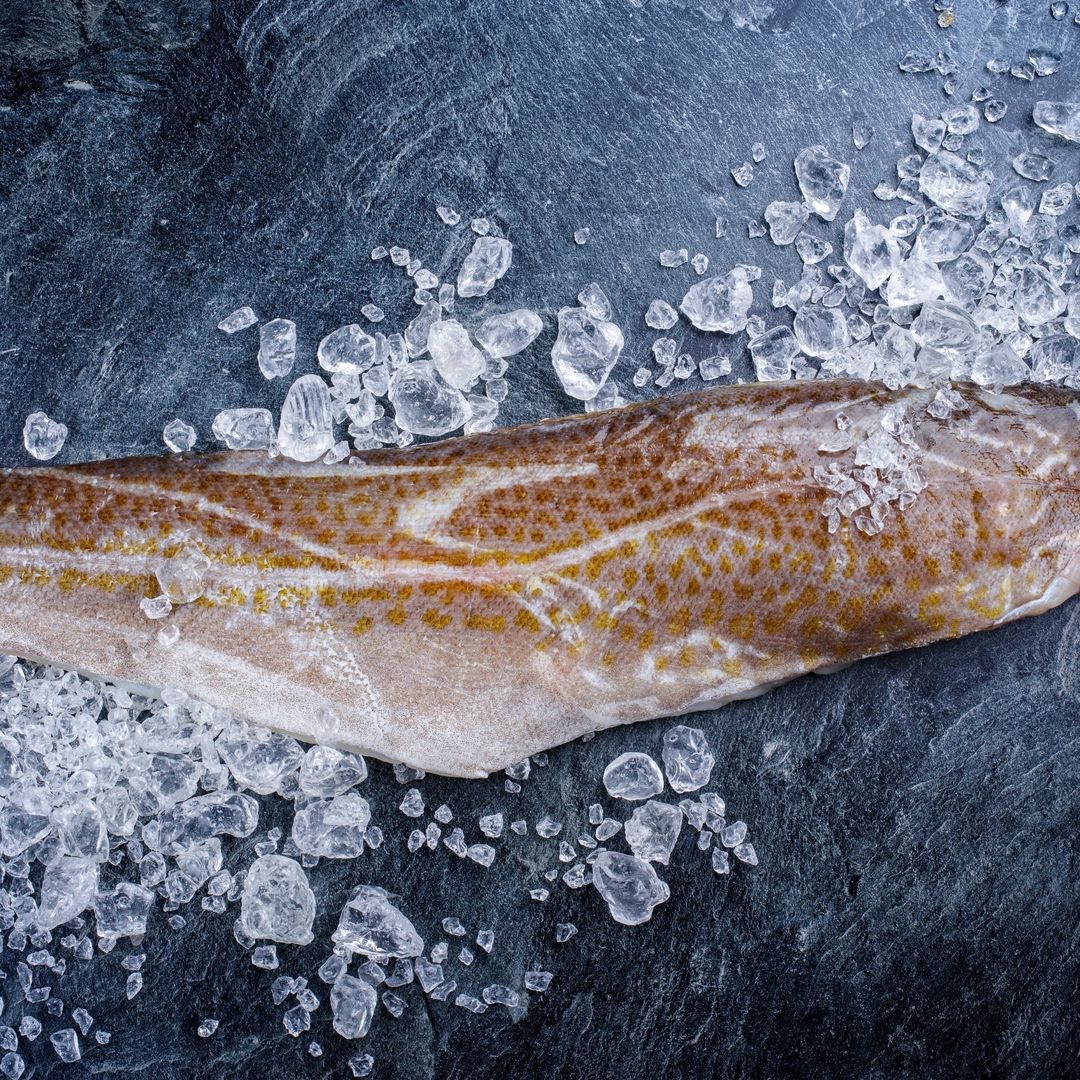 El “rey del bacalao” llega ahora: qué es el skrei, por qué es tan especial y cómo cocinarlo