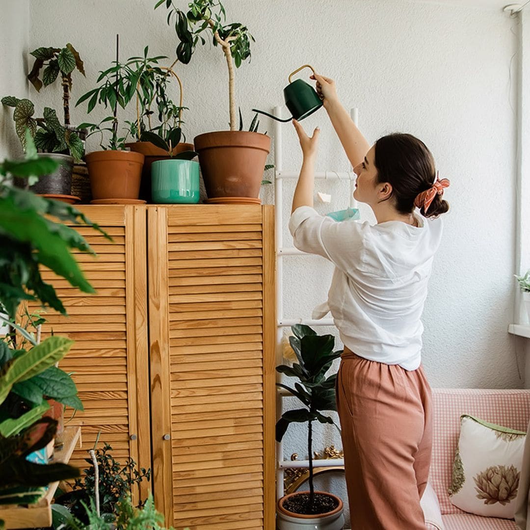 ¿Qué les ha pasado a mis plantas? Consejos para revivirlas tras las vacaciones