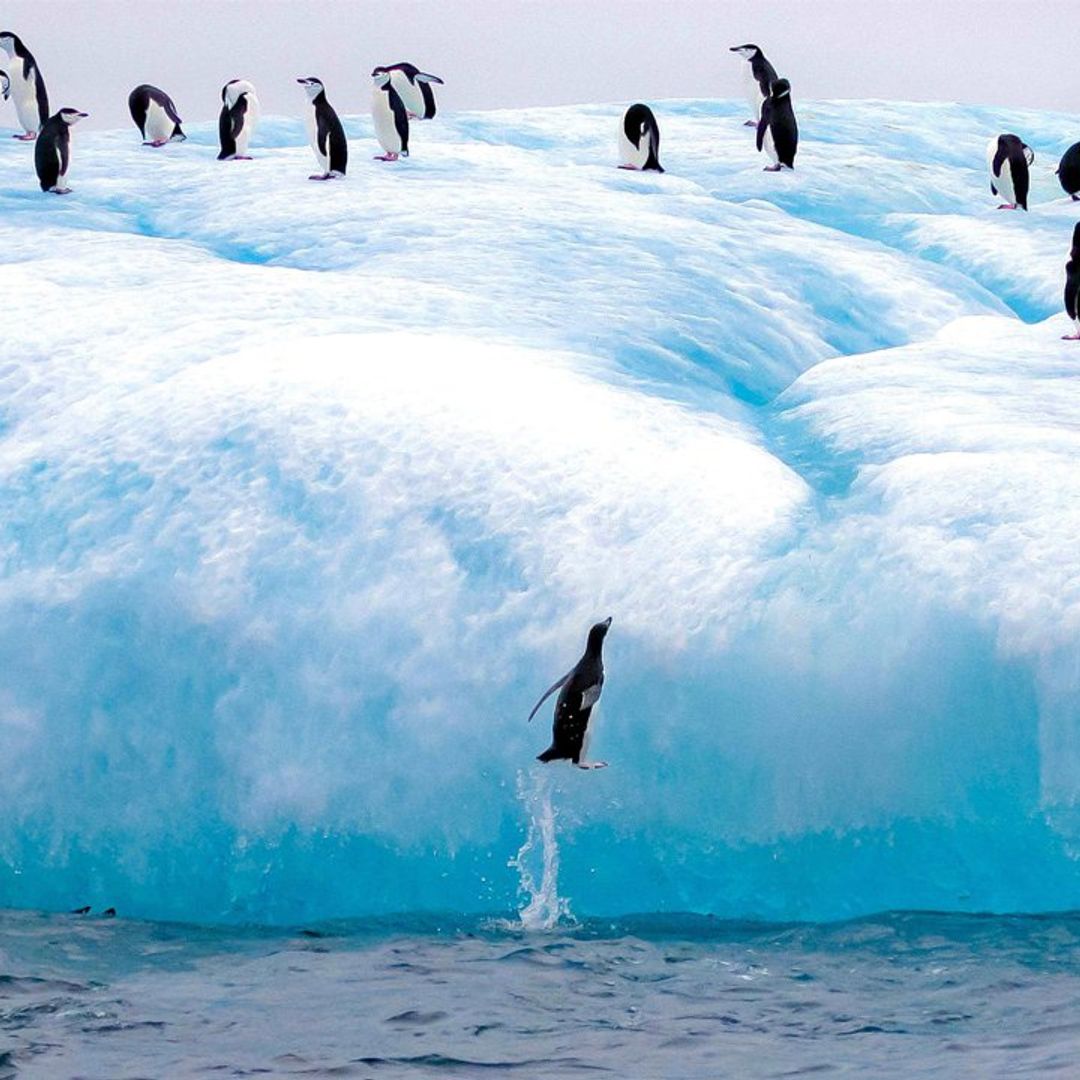 Un gélido parque temático, el desprendimiento del iceberg más grande del mundo y la magia del atardecer