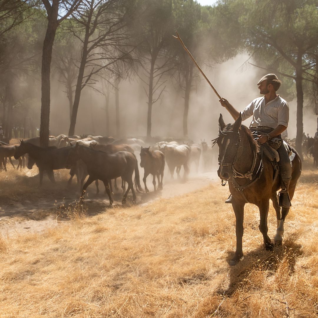 Saca de las yeguas, Almonte, Huelva