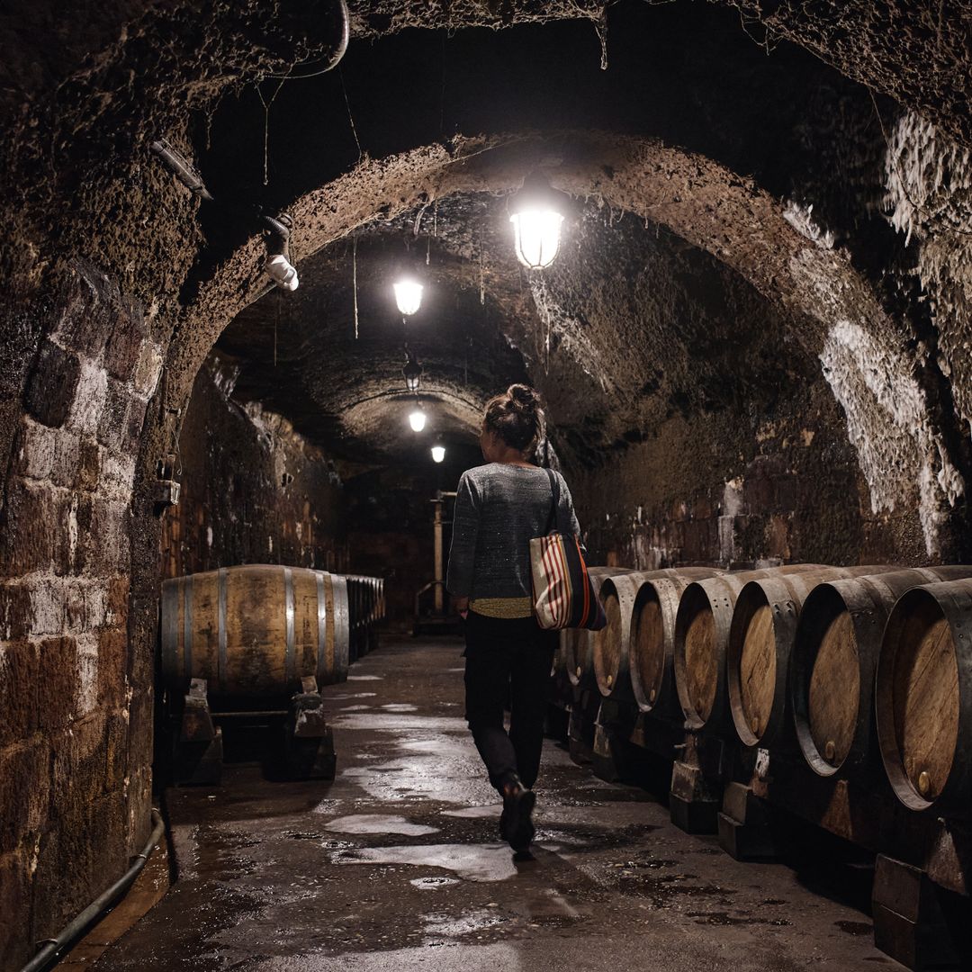 Bodega subterránea de Haro, La Rioja