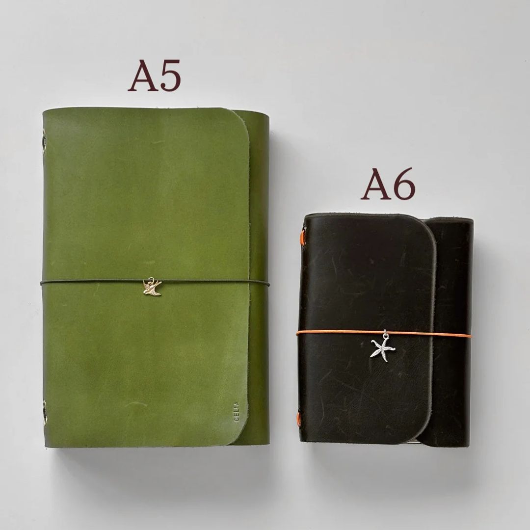 Libretas de Sono Journal