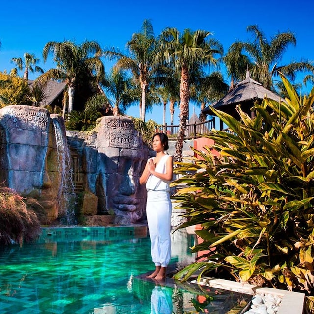 asia gardens wta 2024