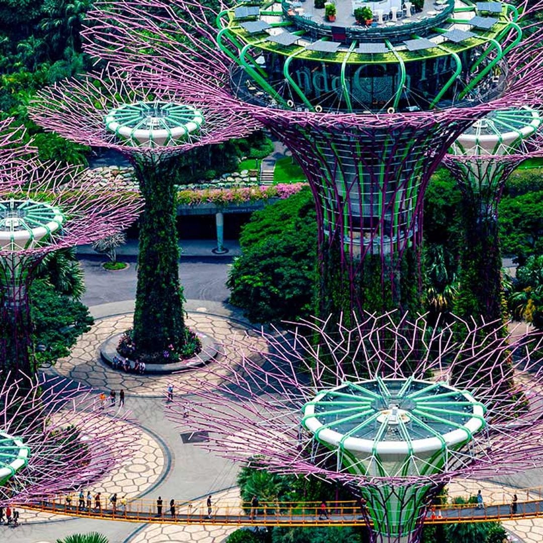 Singapur inesperado, para tu primera vez