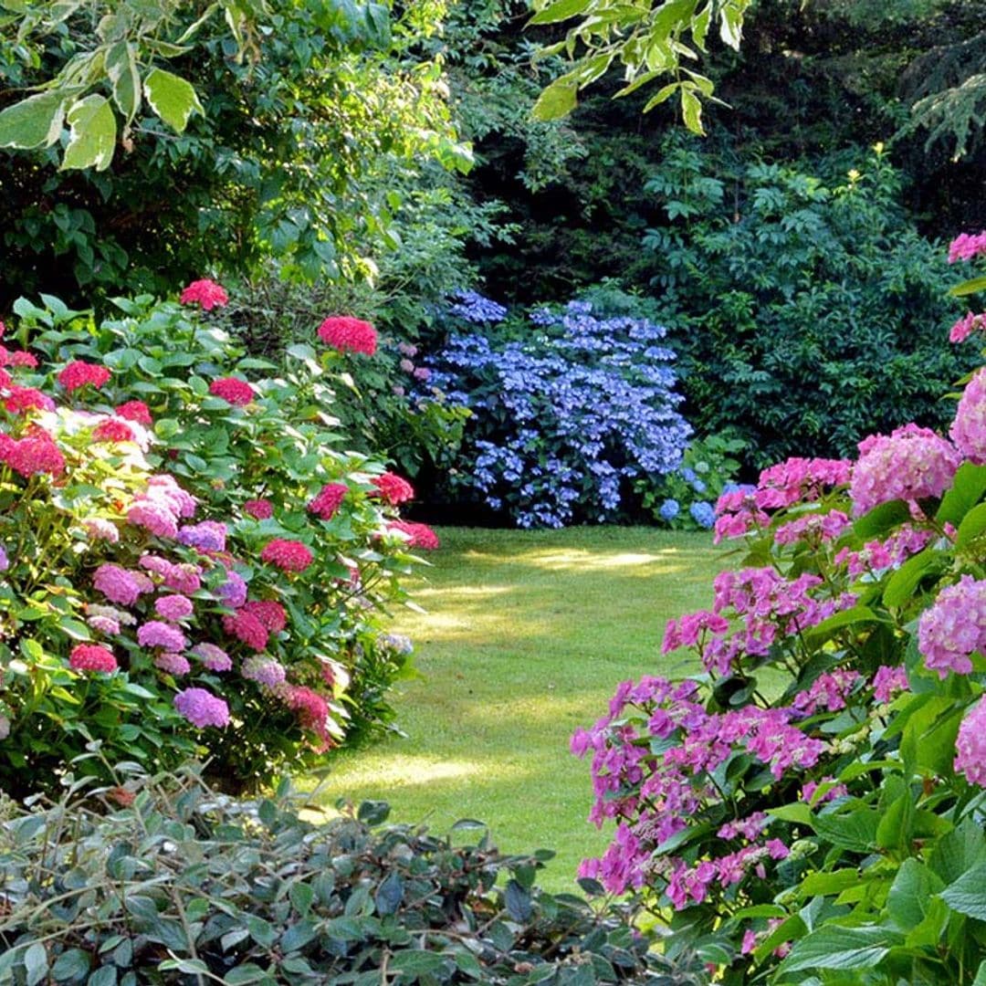 Elige los mejores fertilizantes para tus plantas y revitaliza tu jardín