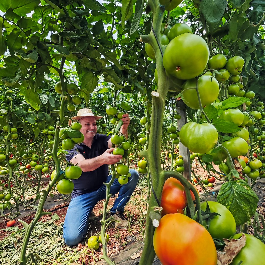xisco adrover en su huerto hort de sa vall, manacor, mallorca