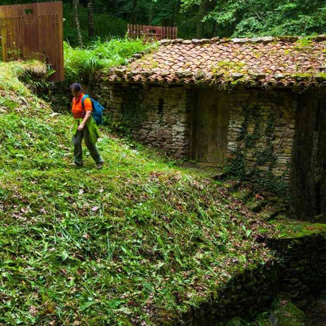 Pagoeta, la excursión senderista perfecta y cerca del mar