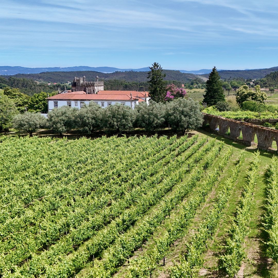 El acueducto de granito que atraviesa los viñedos de la finca