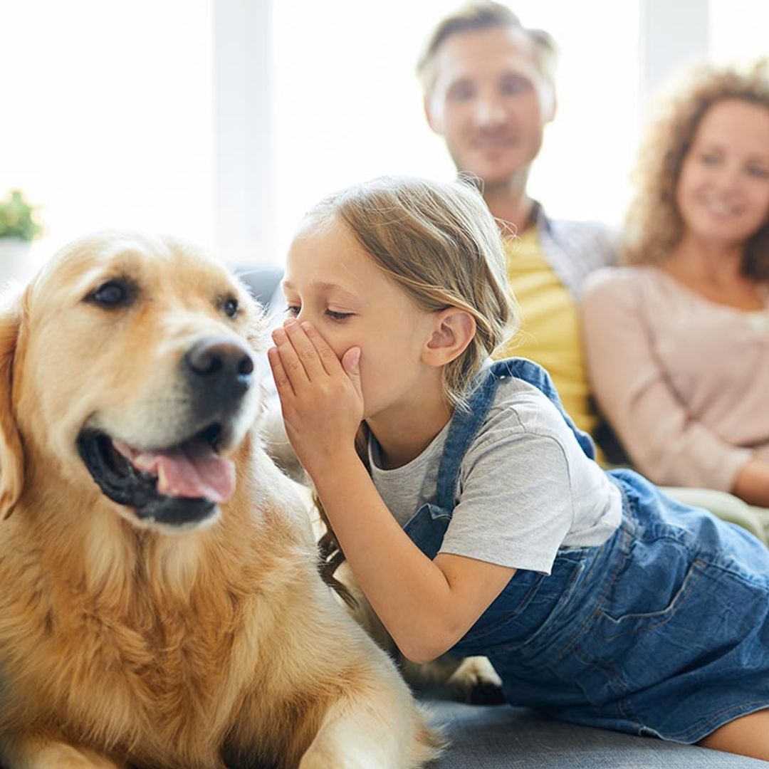 Los perros tienen un sexto sentido para identificar si les estás mintiendo