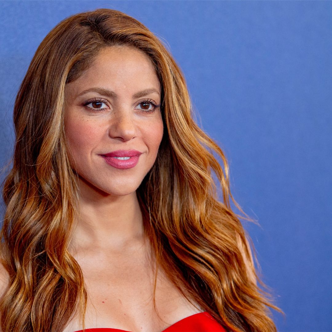 La causa más desconocida de Shakira en la que ahora centrará sus esfuerzos para defender su inocencia
