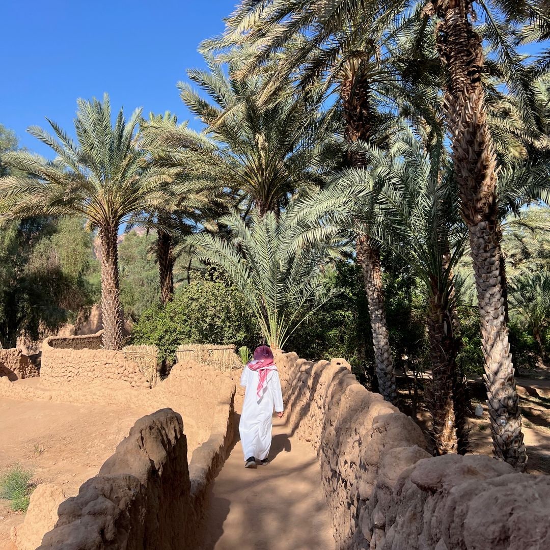 Oasis Trail, AlUla, Arabia Saudí