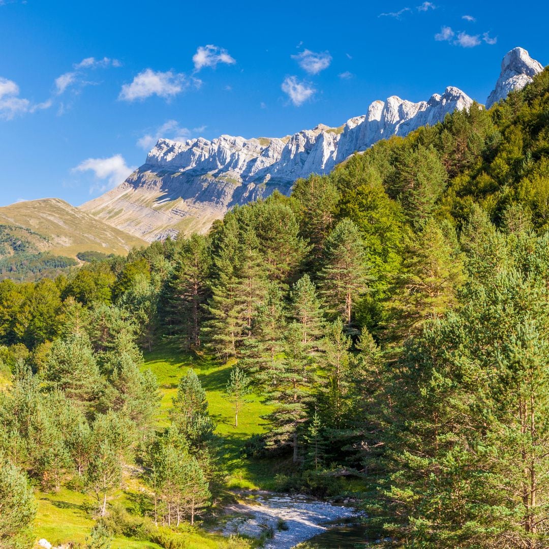 Sierra de Alano y Barranco de la Taxera, Zuriza, Valle de Ansó, Huesca