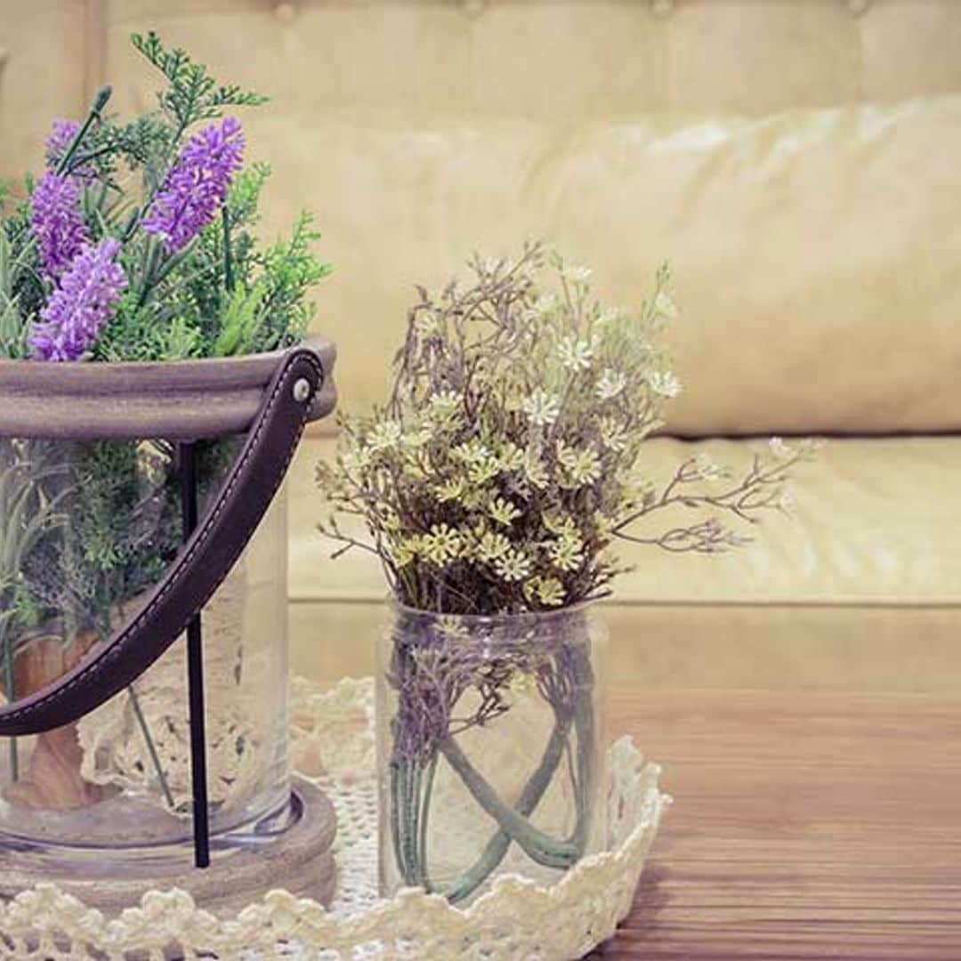 ¿Te faltan ideas para decorar tu casa con plantas?