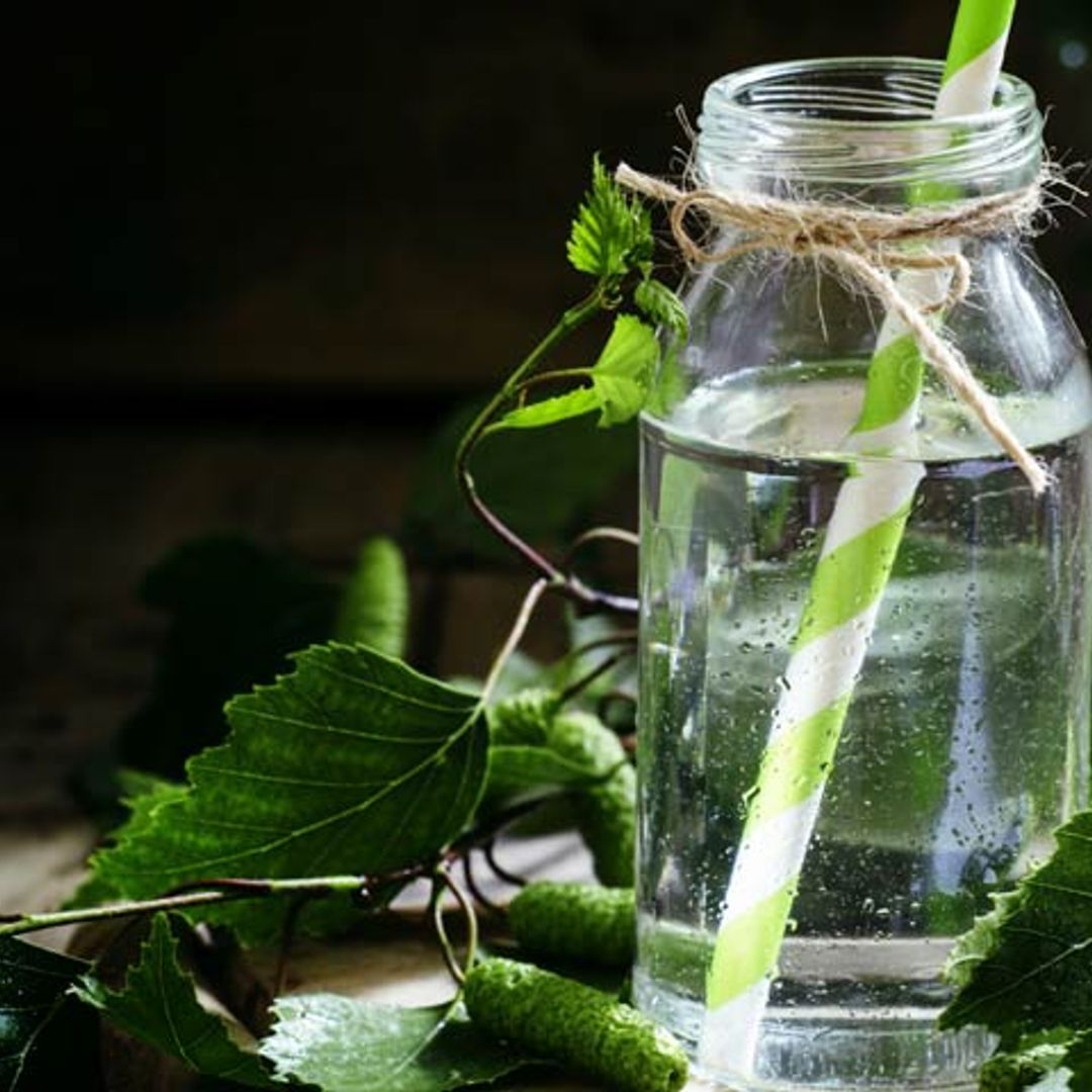 El agua de abedul está de moda: ¿cuáles son sus propiedades?