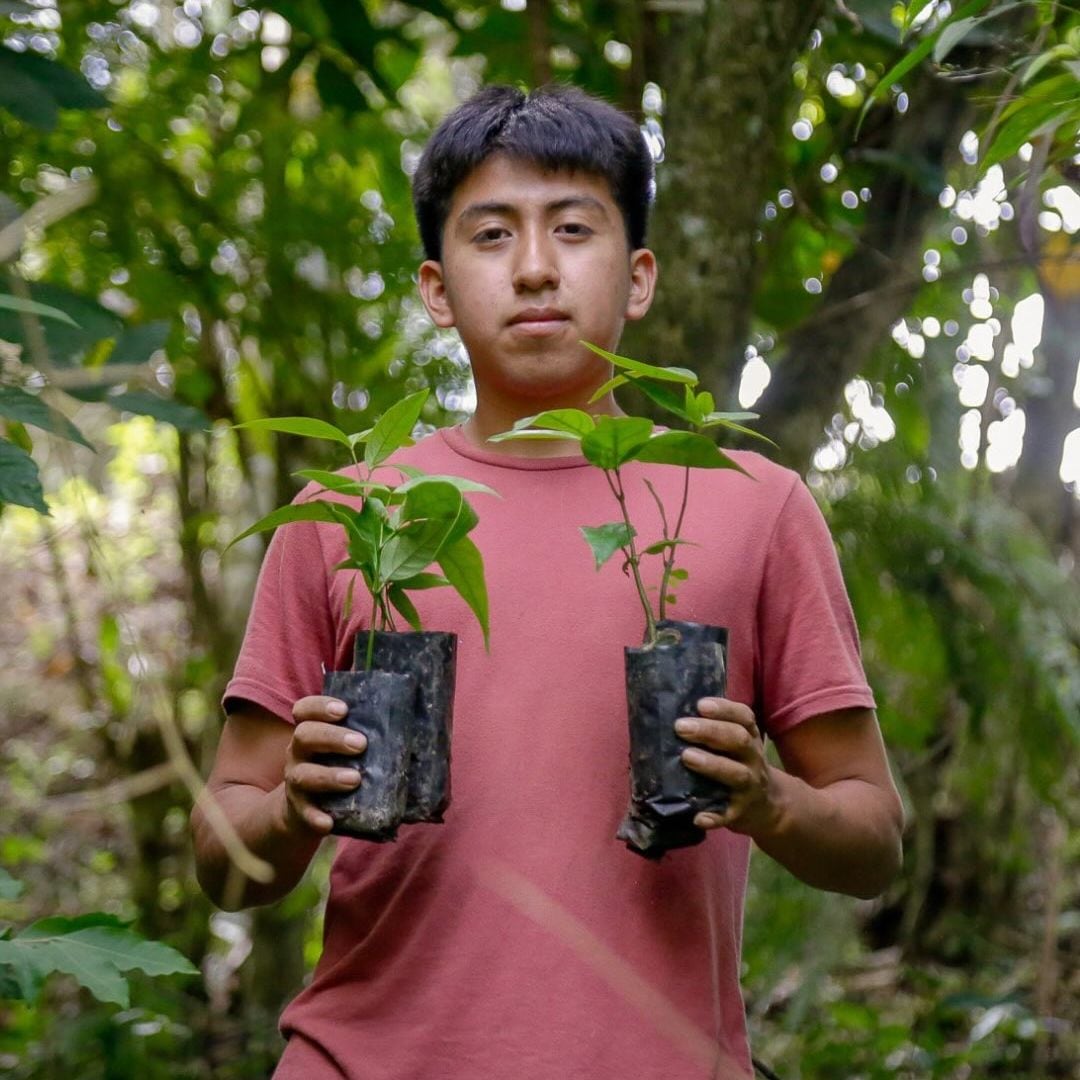 SíMiPlaneta ha logrado sembrar más de 3 millones de árboles y plantas.