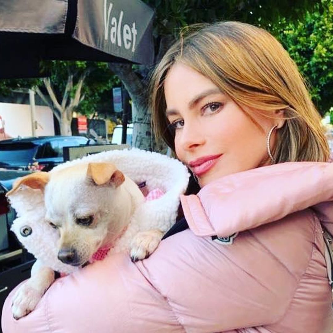 Sofia Vergara revela que las luces de los sets le causaron esta enfermedad en la piel