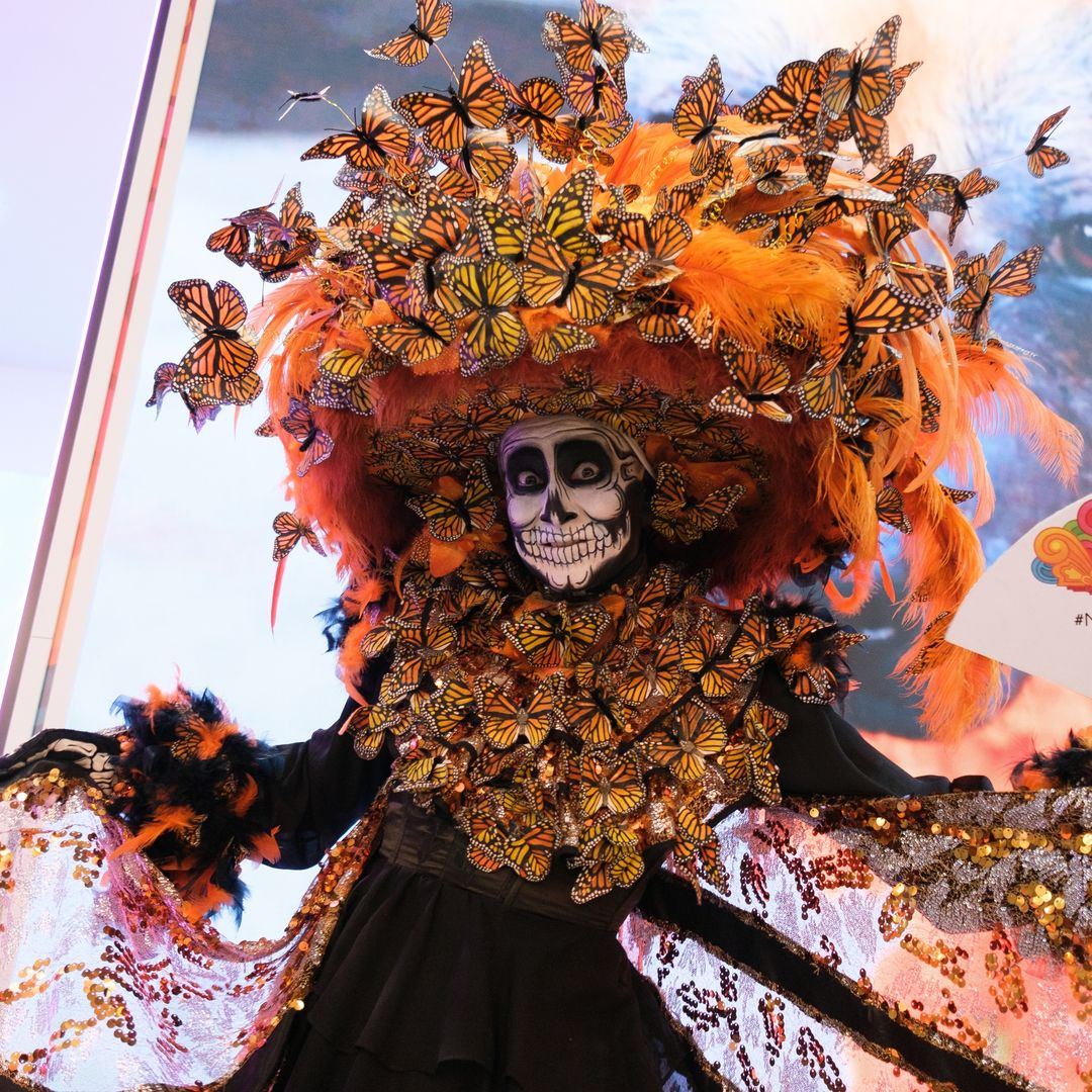 Guía Fitur 2026: todo lo que no puedes perderte el fin de semana del 24 y 25 de enero en Madrid