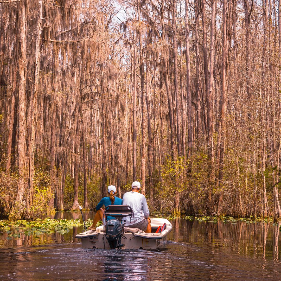 Refugio Nacional de Vida Silvestre Okefenokee, Georgia