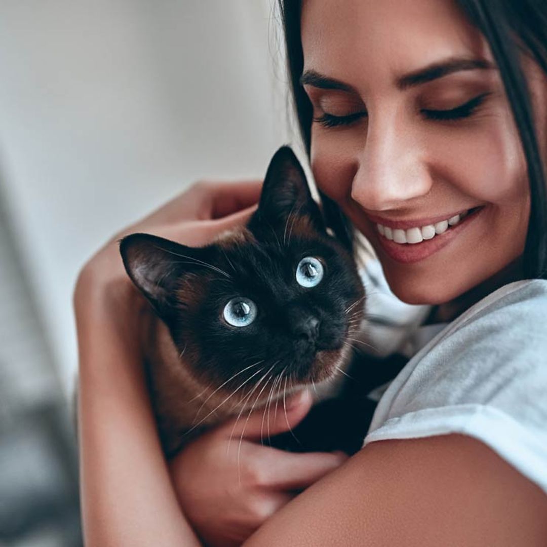 ¿Quieres saber por qué tu gato te adora? Estos son los motivos