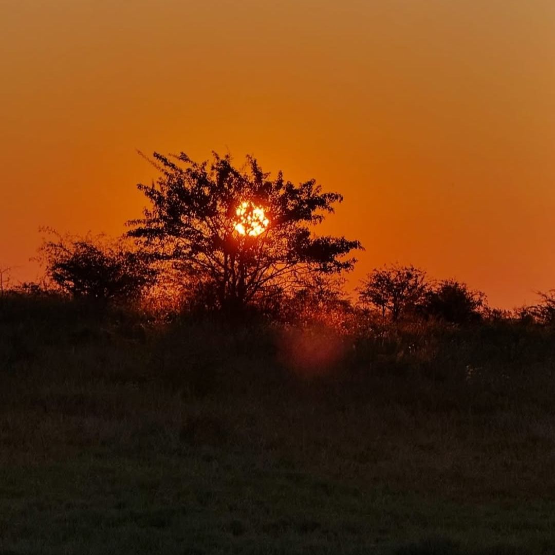 Atardecer en el desierto de Kalahari, Botswana, Africa