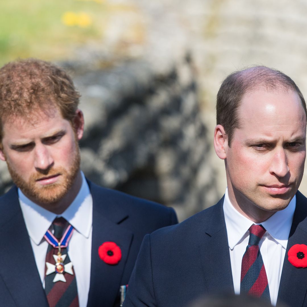El príncipe William y Harry de luto por una pérdida cercana