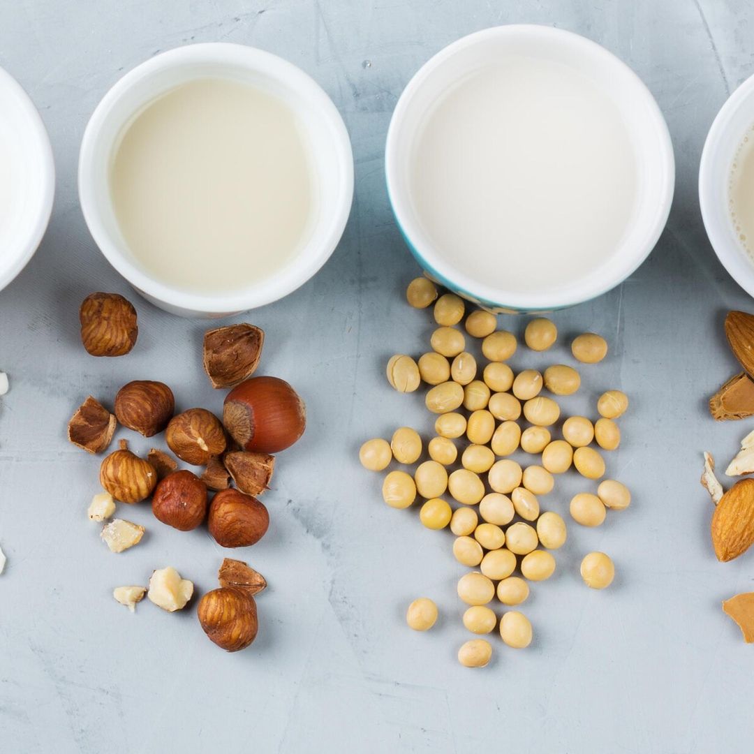 ¿Cuáles son los distintos tipos de leche?