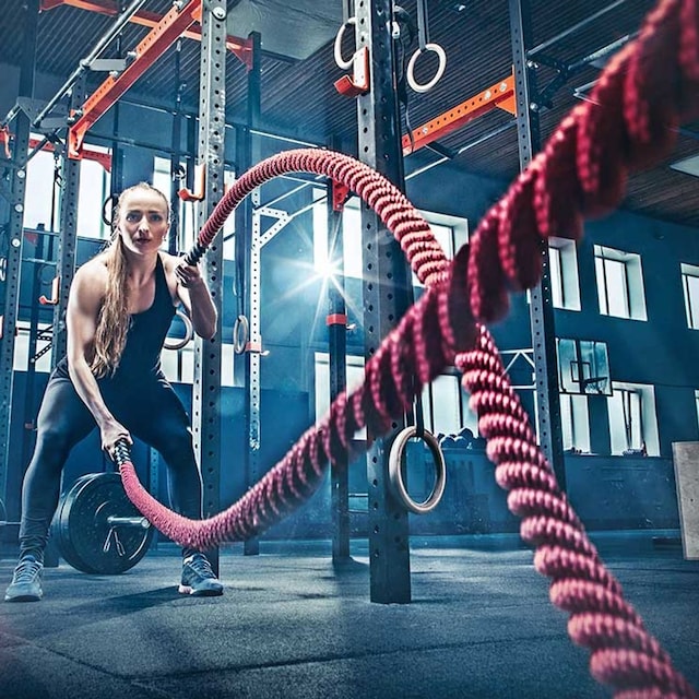 vocabuario gimnasio