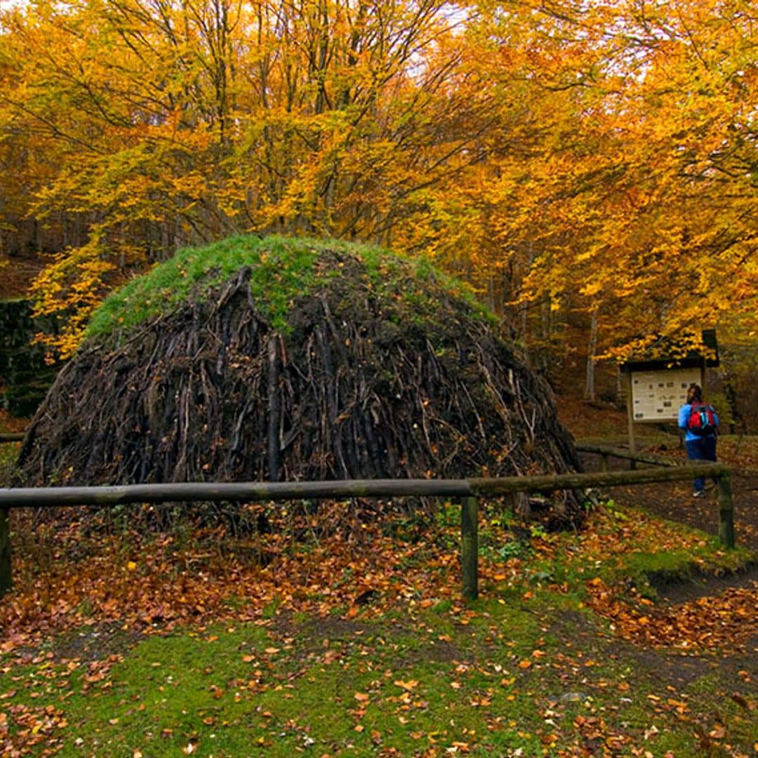 parque natural del hayedo de tejera negra