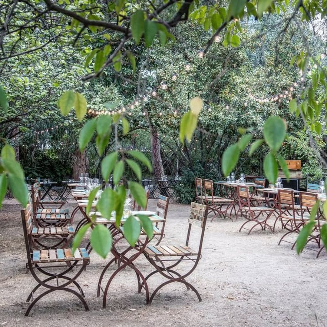 Mesas entre olivos en El Olivar de Castillejo en Madrid