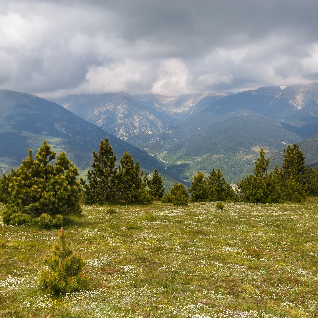 Coll D'ares, Pirineo catalán, Girona