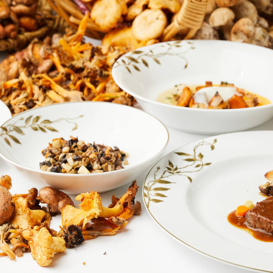 Del bosque al plato: Aquí se cocinan (y recogen) las mejores setas de otoño