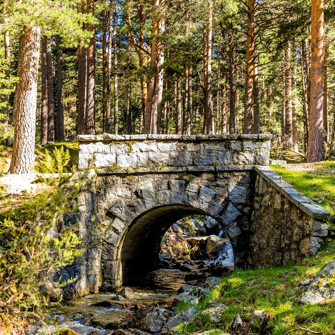 Puente en La Barranca, Navacerrada, Madrid