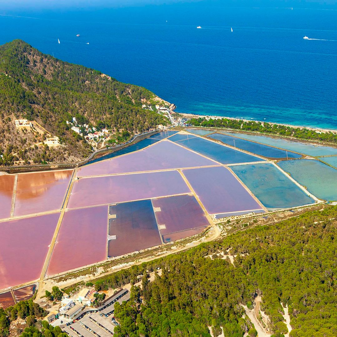 Playa de Ses Salines, Ibiza