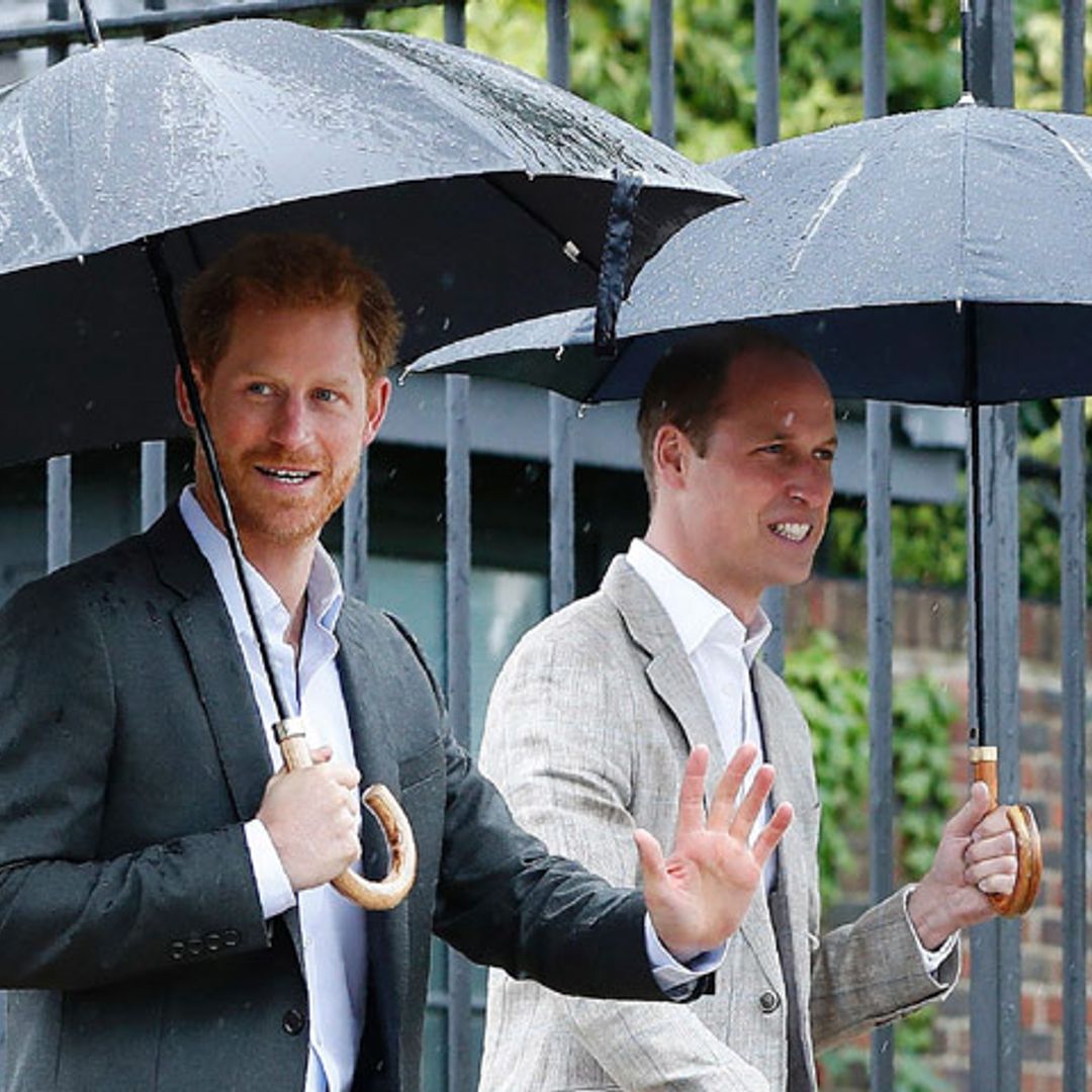 ¡Se avecinan cambios en Kensington! La razón por la que Harry y su hermano separarán sus caminos en 2019