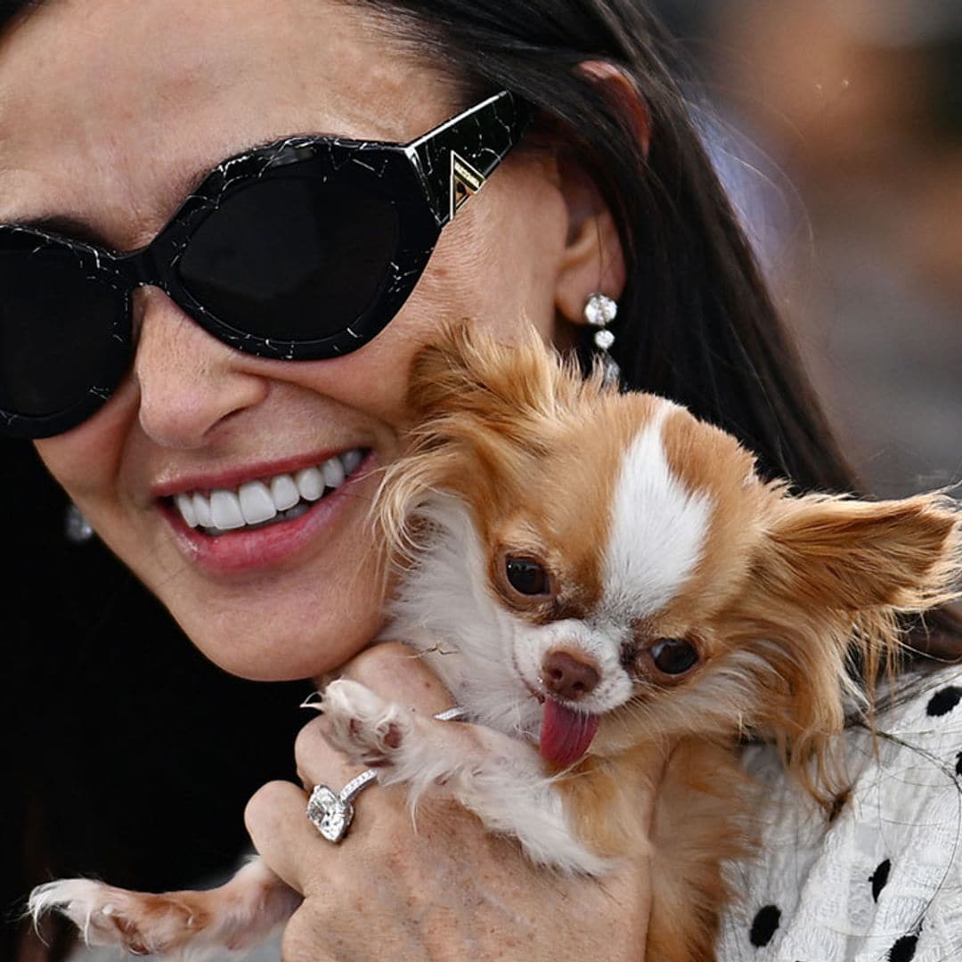 El chihuahua de Demi Moore se convierte en la 'verdadera estrella' del Festival de Cannes