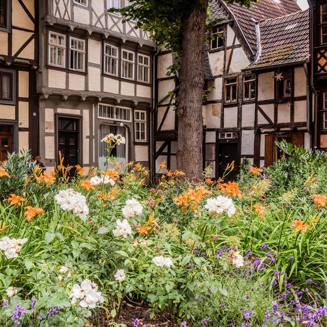 Quedlinburg, la ciudad medieval de Alemania con más casas de cuento repletas de entramados de madera.