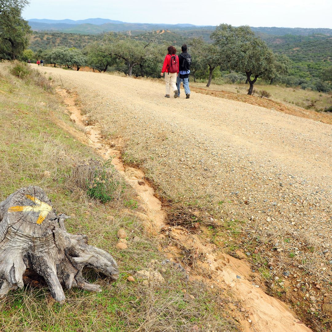 Camino de Santiago por la Vía de la Plata a su paso por Almadén de la Plata, Sevilla